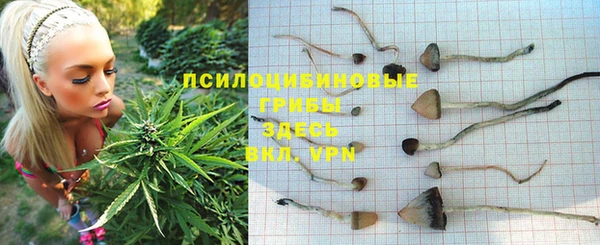 гидропоника Богданович
