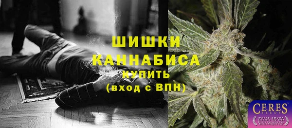гидропоника Богданович
