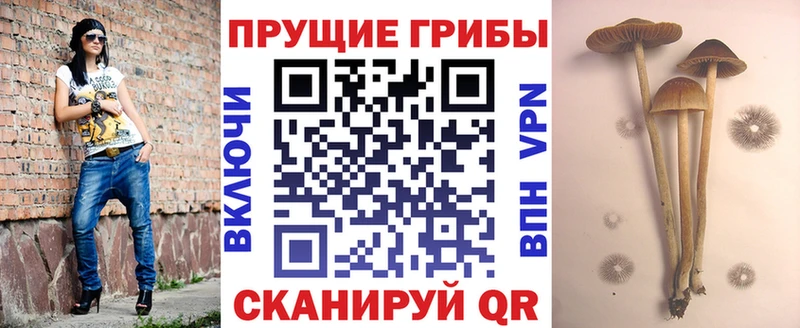 MEGA ссылка  Невельск  Галлюциногенные грибы GOLDEN TEACHER 